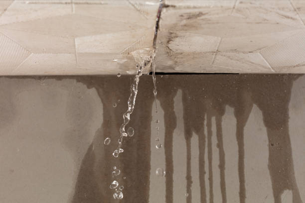 Professional Flood Damage Cleanup technician working in Westfield, NJ